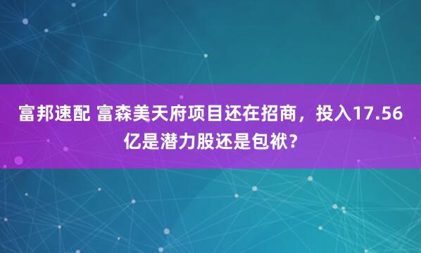 富邦速配 富森美天府项目还在招商，投入17.56亿是潜力股还是包袱？