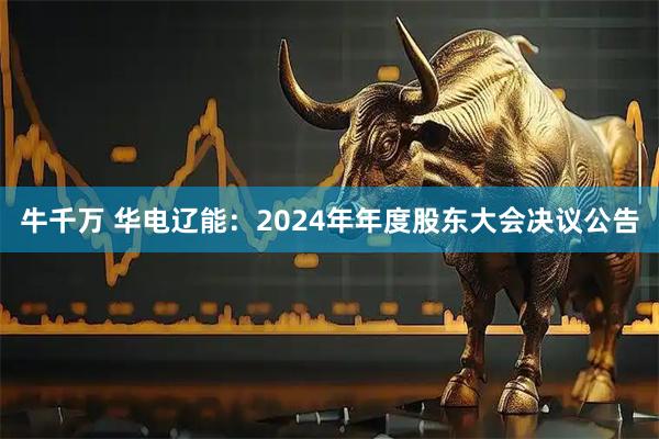 牛千万 华电辽能：2024年年度股东大会决议公告