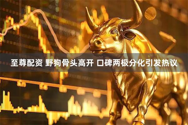 至尊配资 野狗骨头高开 口碑两极分化引发热议